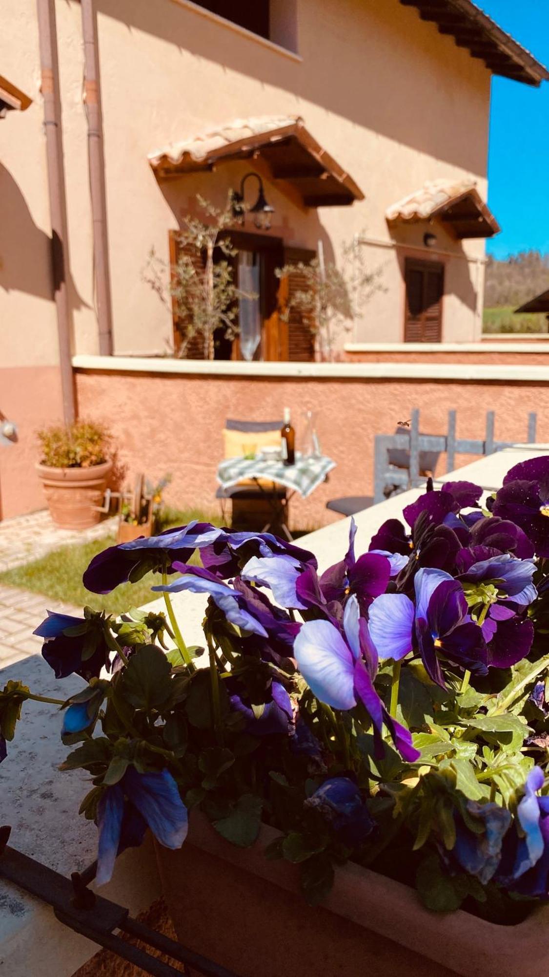 Selvicolle Country House Crispiero Buitenkant foto